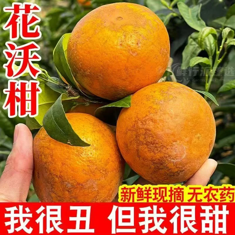 AAAAA云南沃柑花皮沃柑应季新鲜水果现摘现发整箱包邮孕妇水果