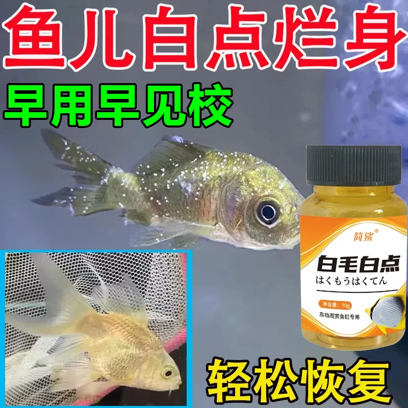 鱼身上长有白点白毛小瓜虫烂身烂尾锦鲤鱼鹦鹉鱼多种鱼类粉剂