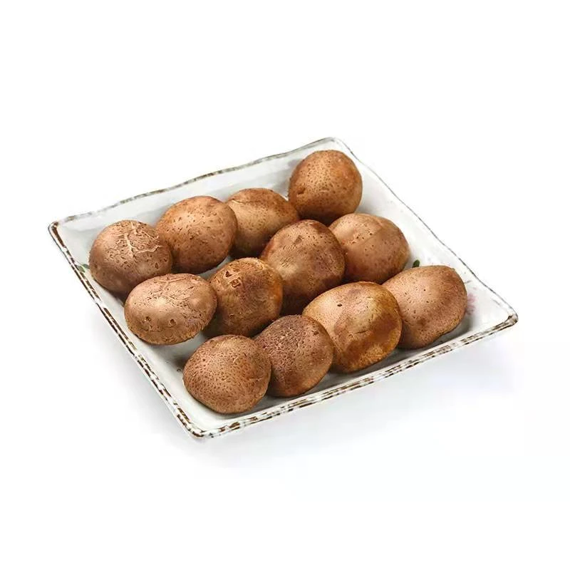 【小时达】鲜香菇 250g