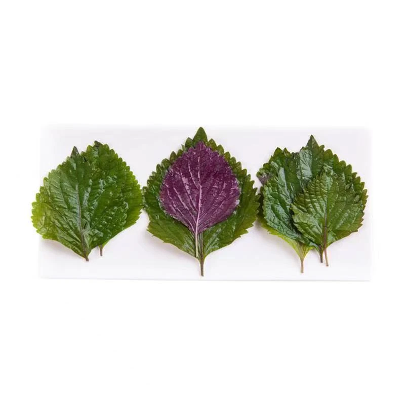 【小时达】紫苏 100g