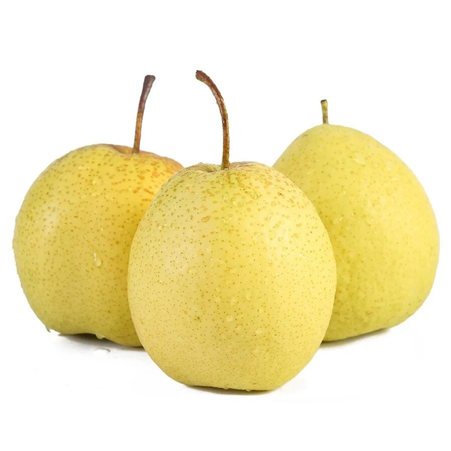 【小时达】特级雪梨800G