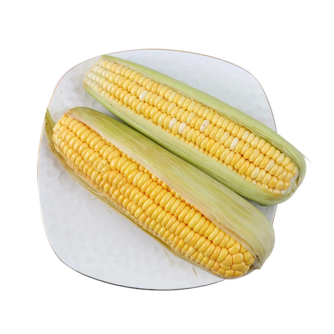 【小时达】带壳甜玉米/根