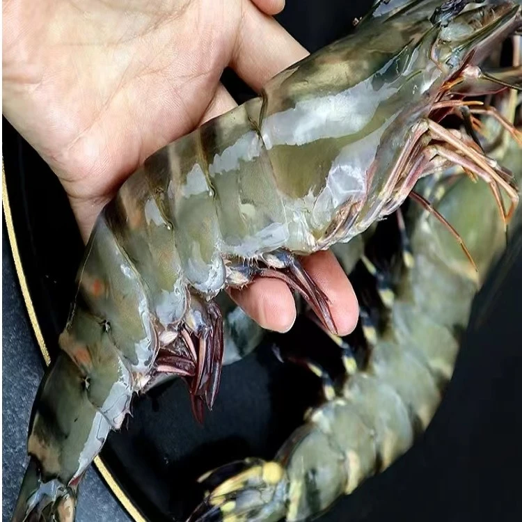 【沂品鲜】30黑虎虾虾3斤 新鲜大虾