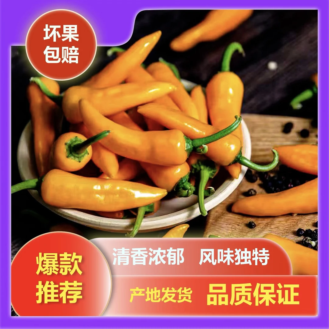 福建永安黄辣椒新鲜特产农家自种清香子弹椒产地直发