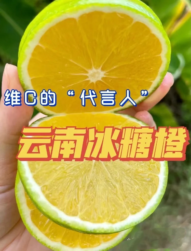 云南哀牢山正宗冰糖橙来自褚橙之乡10斤装自然熟纯甜多汁