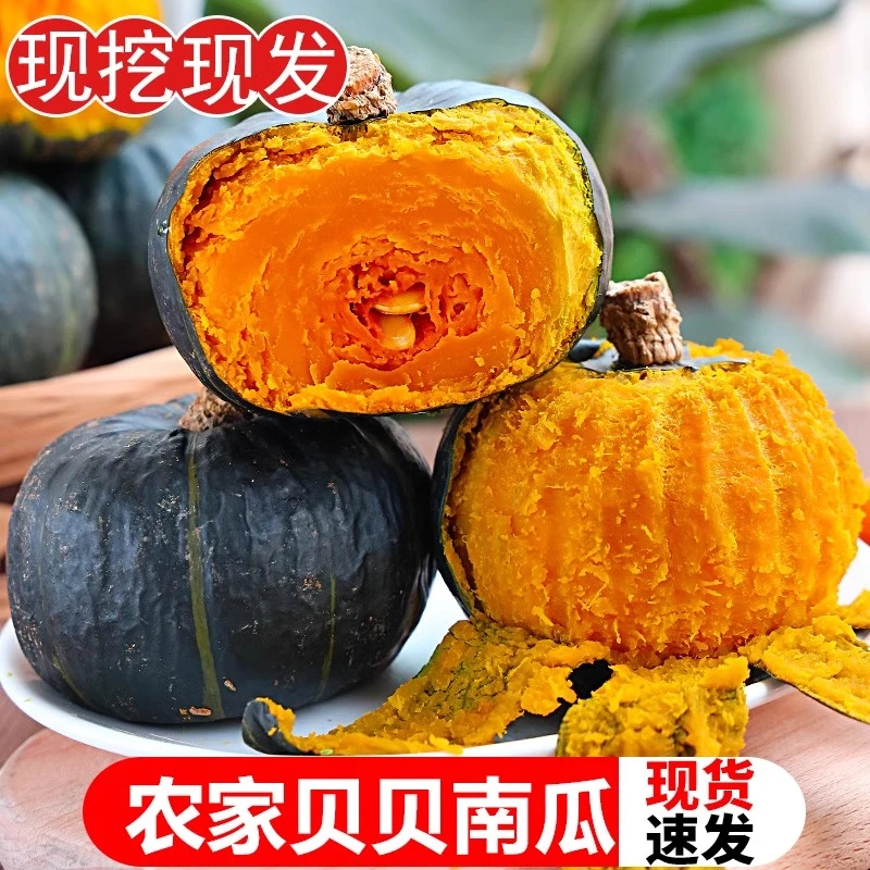 新鲜贝贝南瓜板栗味小南瓜粉糯香甜宝宝辅食栗面老瓜蔬菜2/5/9斤