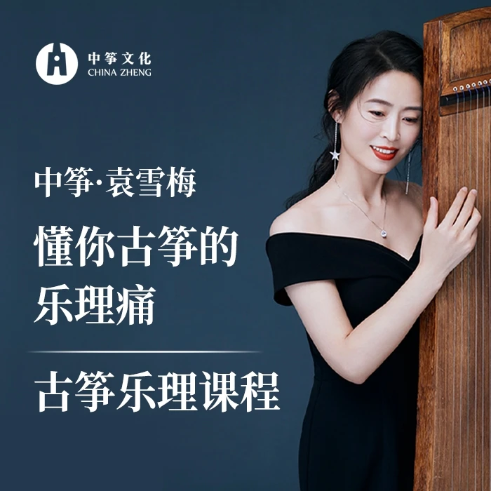 袁雪梅古筝必备乐理课程，懂你古筝的乐理痛2202