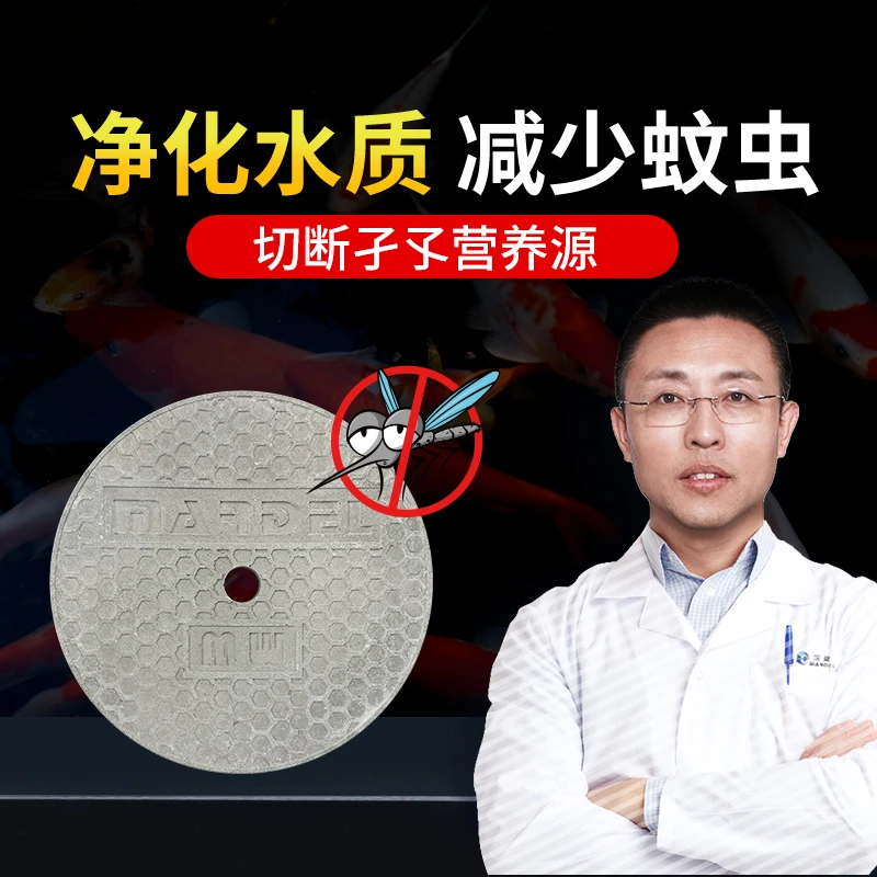 玛豆 菌源 净化水质减少蚊虫