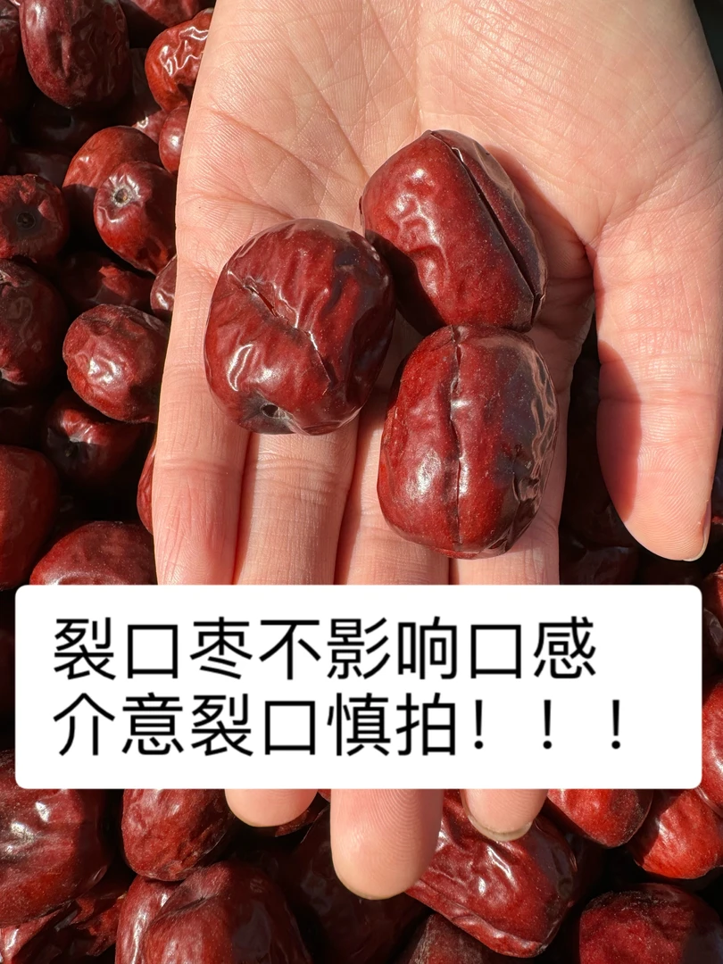 稷山板枣千年老枣树果药膳滋补养生产地直发（精选5斤裂口枣）