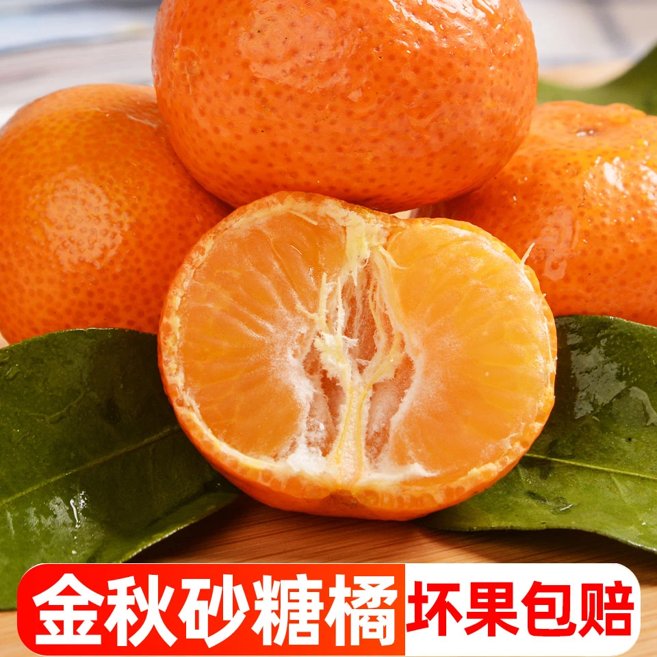 正宗广西砂糖橘1-9斤新鲜应季水果沙糖桔桔子超甜小橘子当季蜜橘1