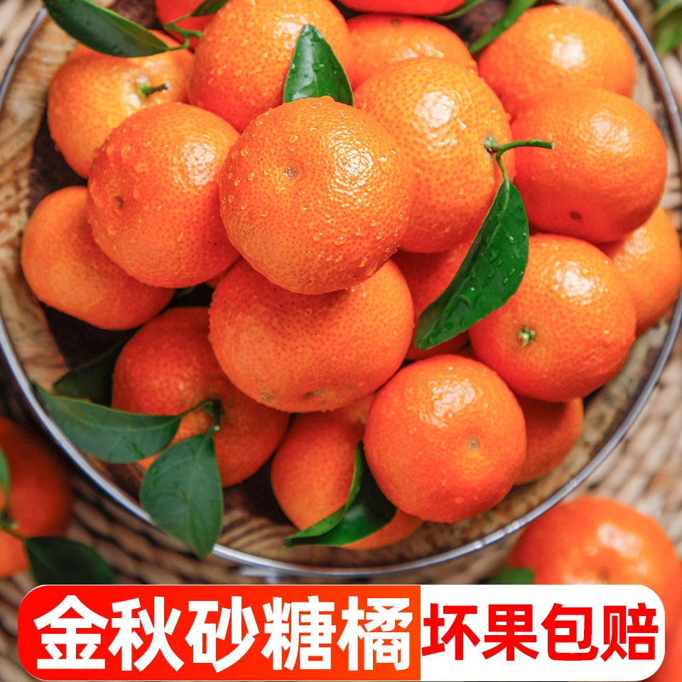 广西砂糖橘1-9斤金秋沙糖桔新鲜应当季水果小蜜橘桔子现摘红桔柑1