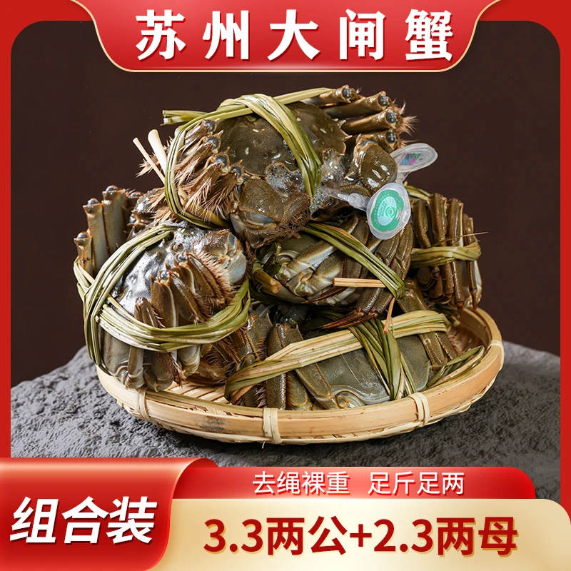 【活蟹】公母搭配大闸蟹（公3.3两+母2.3两）精品蟹苏蟹湖蟹8只/10只