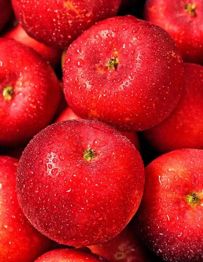 东北榆树农家龙丰果5斤包邮