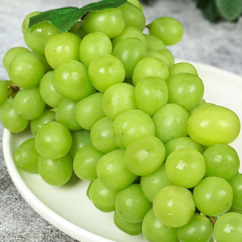 【顺丰包邮】正宗阳光玫瑰葡萄商超同款新鲜水果脆甜精品大果粒5斤Y