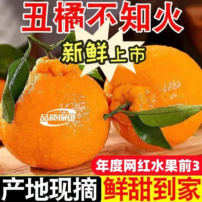 【新疆直发】不知火春见丑橘耙耙柑大果纯甜冬季新鲜水果橘子柑橘