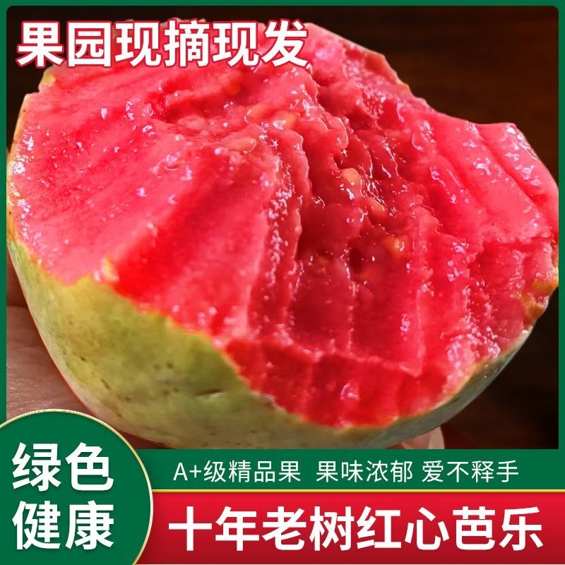 京东【新疆包邮】红心白心芭乐番石榴软糯软心新鲜应季孕妇低糖类