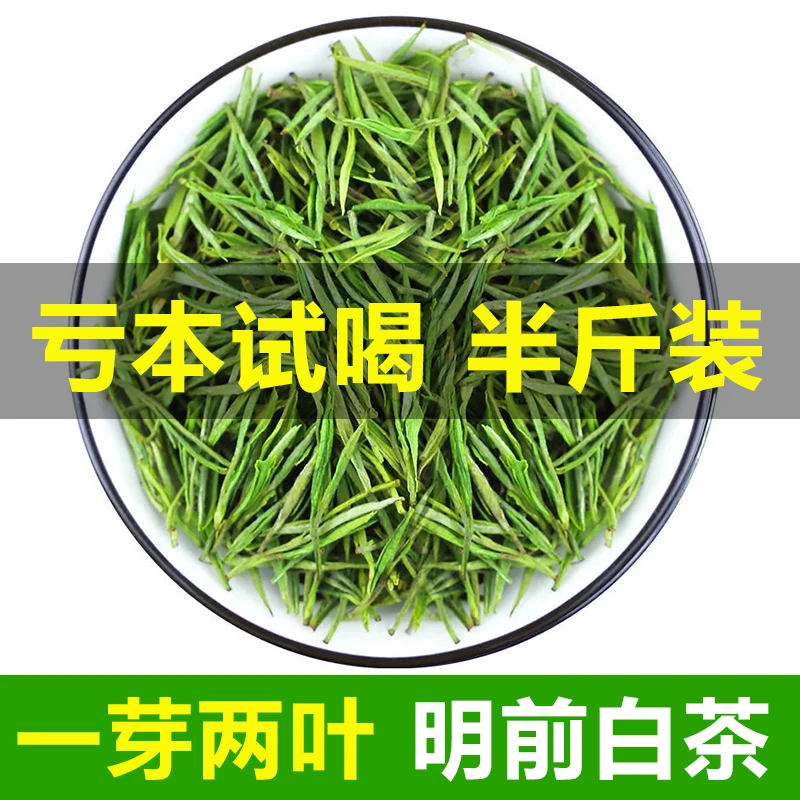 【一斤500克】正宗珍稀白茶高山2023新茶500g明前毛尖绿茶嫩芽浓香