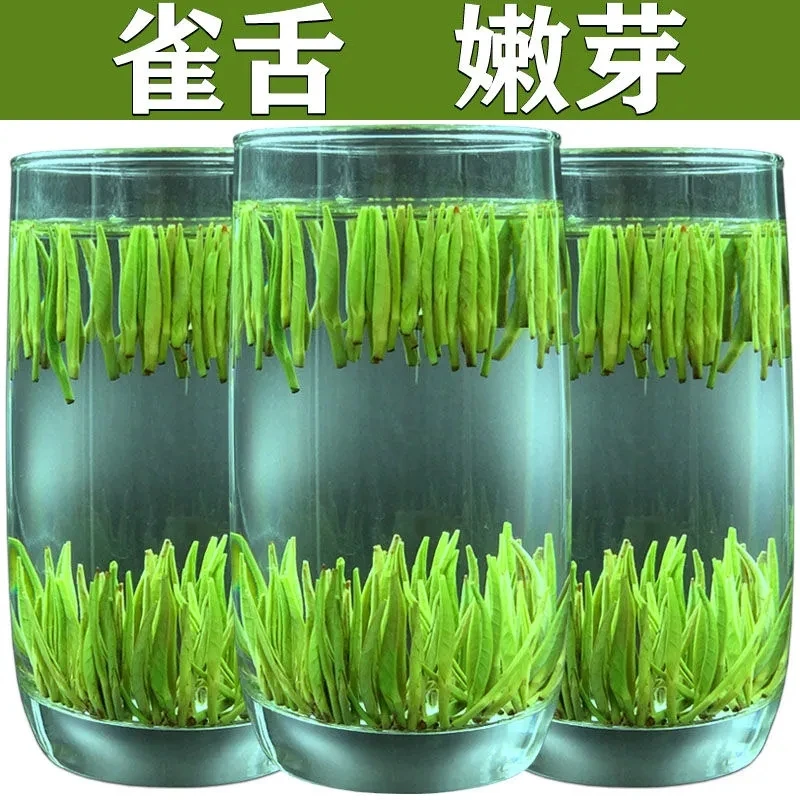 生态茶香 雀舌茶叶2023新茶贵州毛尖茶湄潭翠芽新鲜嫩芽浓香
