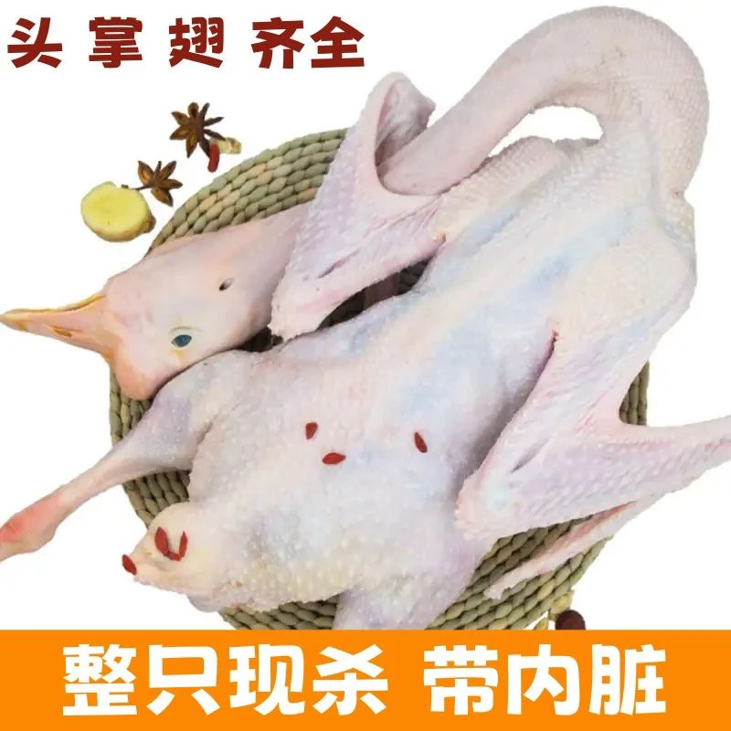 江苏老鹅农家散养老鹅老鹅肉现杀老鹅带包老鹅老鹅白条正宗新鲜