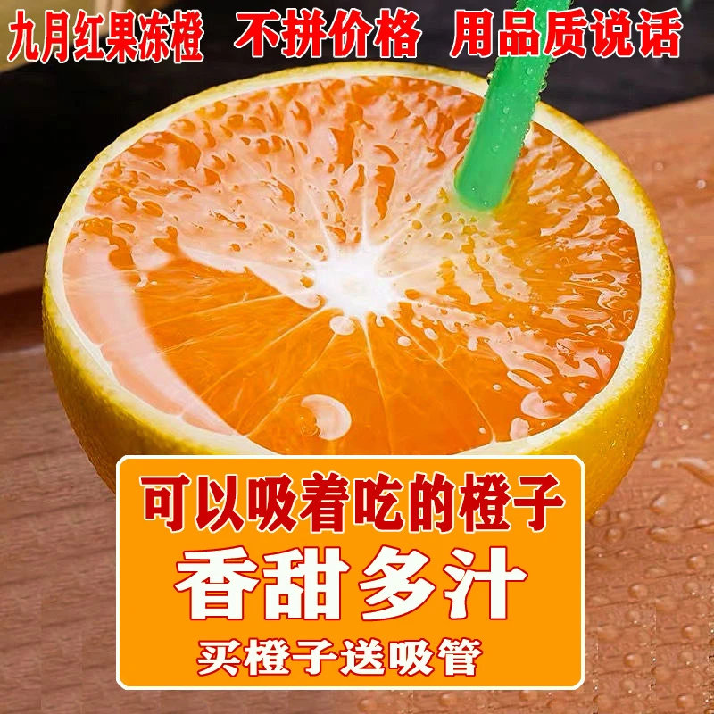 【正宗九月红果冻橙】秭归橙子优选新鲜水果香甜孕妇甜橙多汁现摘