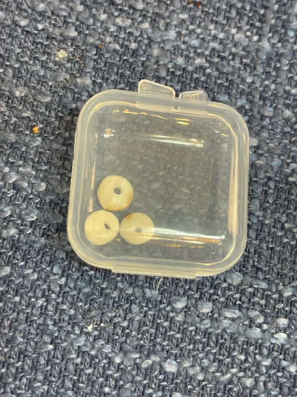 猛犸牙  隔片福利雕刻件