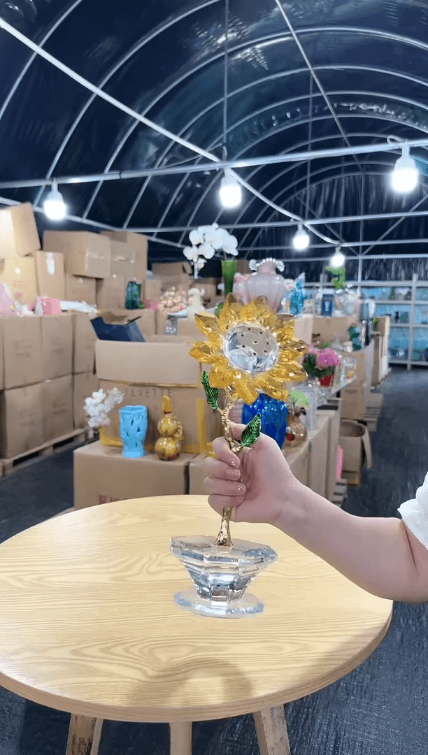【闪购商品】向日葵