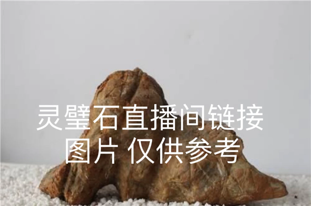 灵璧石毛石直播链接。一物一拍