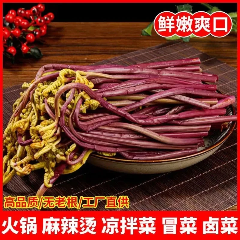 贵州特产秀峰牌野生蕨菜鲜嫩泡菜爽口食用传统蕨菜龙爪菜500克/袋