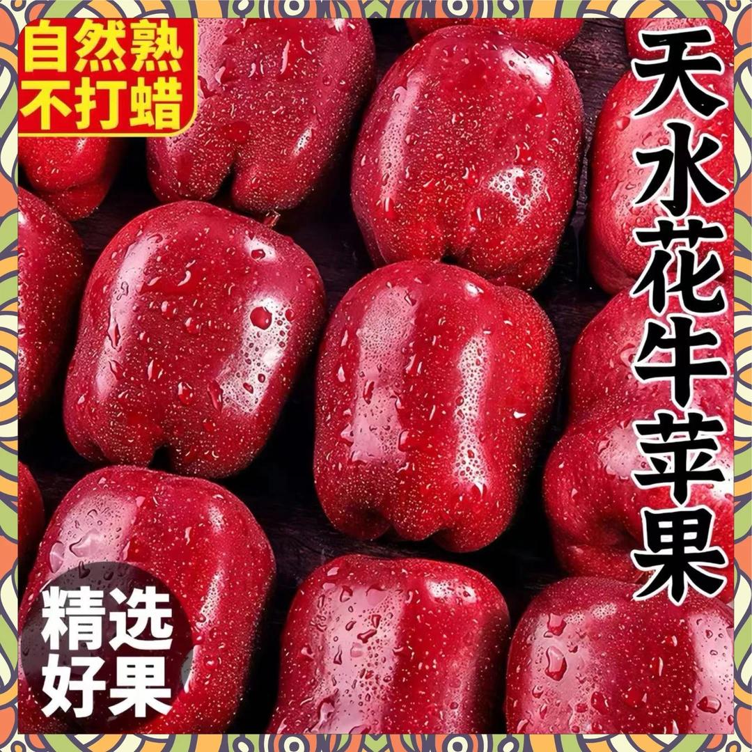 【24年新果】正宗甘肃天水花牛苹果  坏果包赔