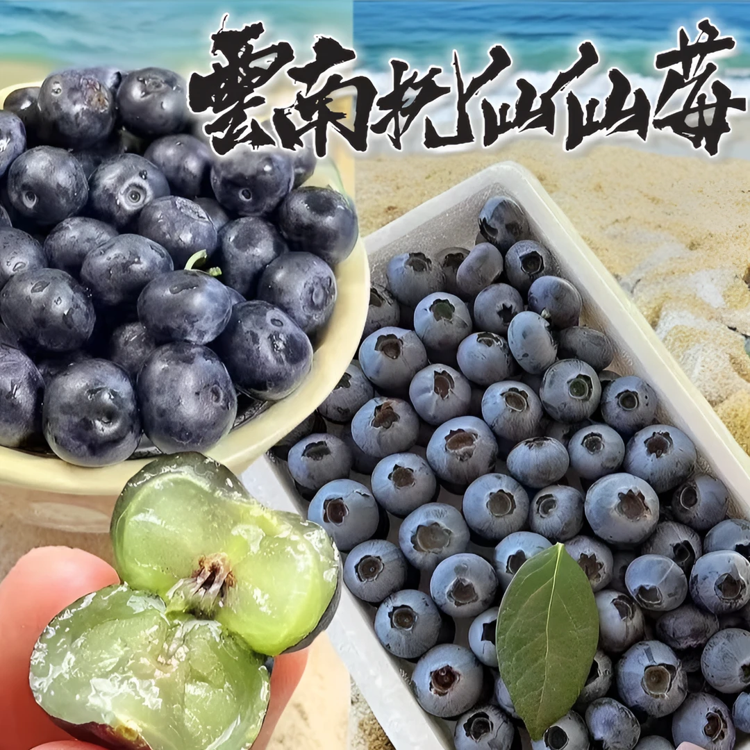 【M86霸王莓+】云南抚仙仙莓450g装 脆甜蓝莓清香 现摘新鲜年货必吃