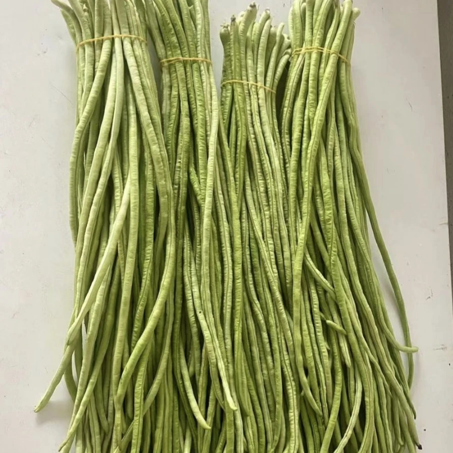 【本地长豆角】农家蔬菜农家肥种植5斤起