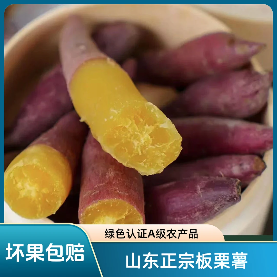 山东沙地板栗红薯现挖干面粉甜烤地瓜新鲜番薯蜜薯粗粮饱满香甜