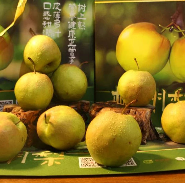 果园直发陕西玉露香彬州梨 皮薄酥脆多汁
