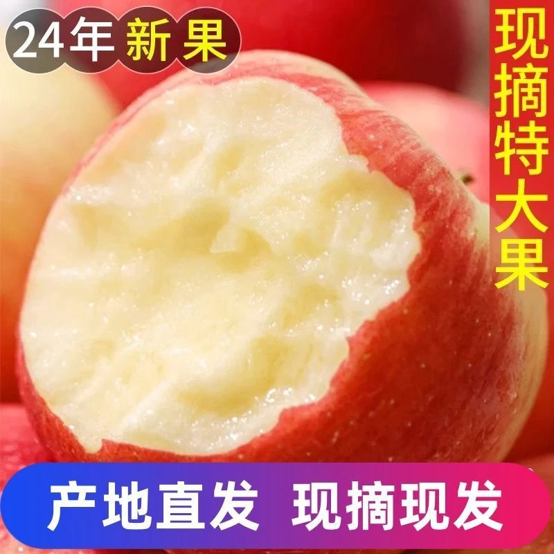 【超脆甜】2024特级冰糖心红富士丑苹果批发新鲜水果类当季