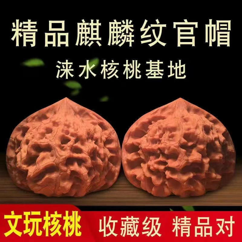 麒麟纹官帽大尺寸官帽,男士霸气文玩核桃手把件，核农一手货源