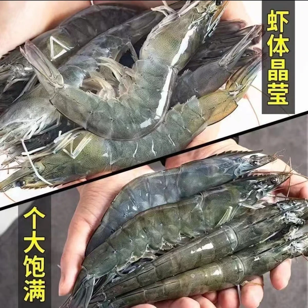 中大号盐冻海水虾13-16厘米   4斤/盒到手约60-70只
