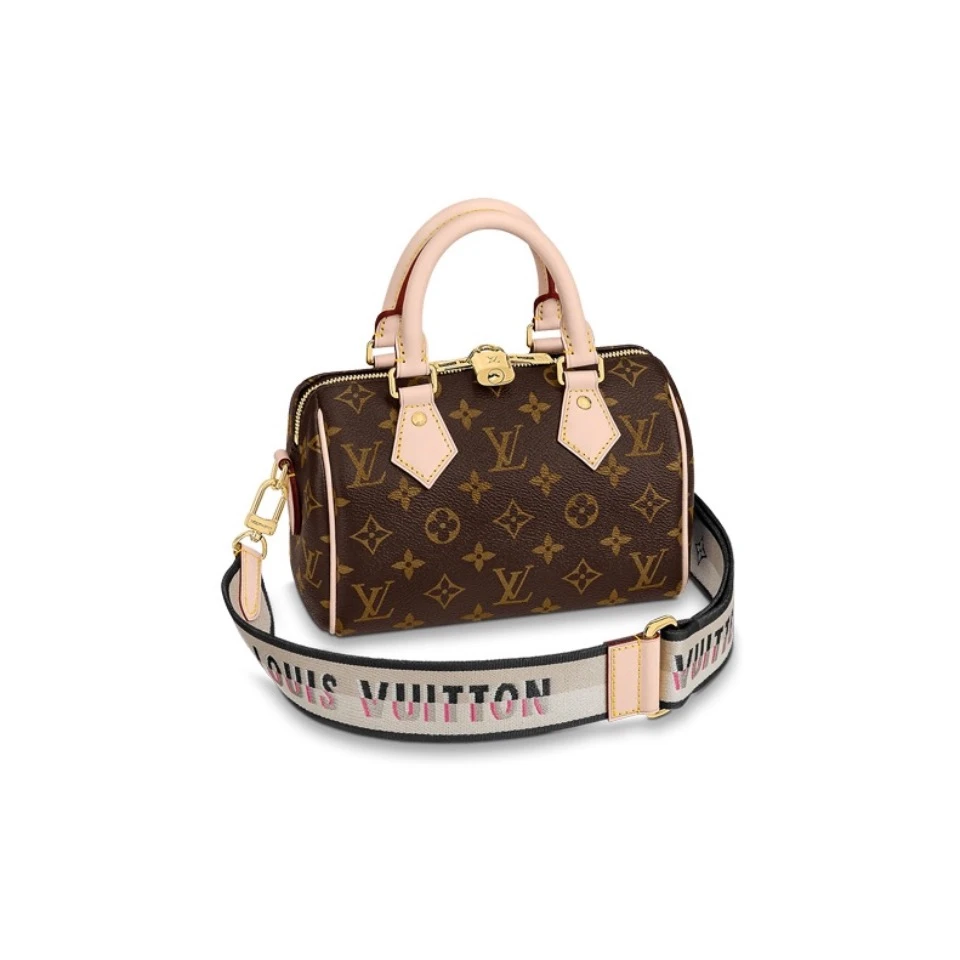 99新 LouisVuitton/路易威登 菜菜 LV 老花 speedy 20 枕头包