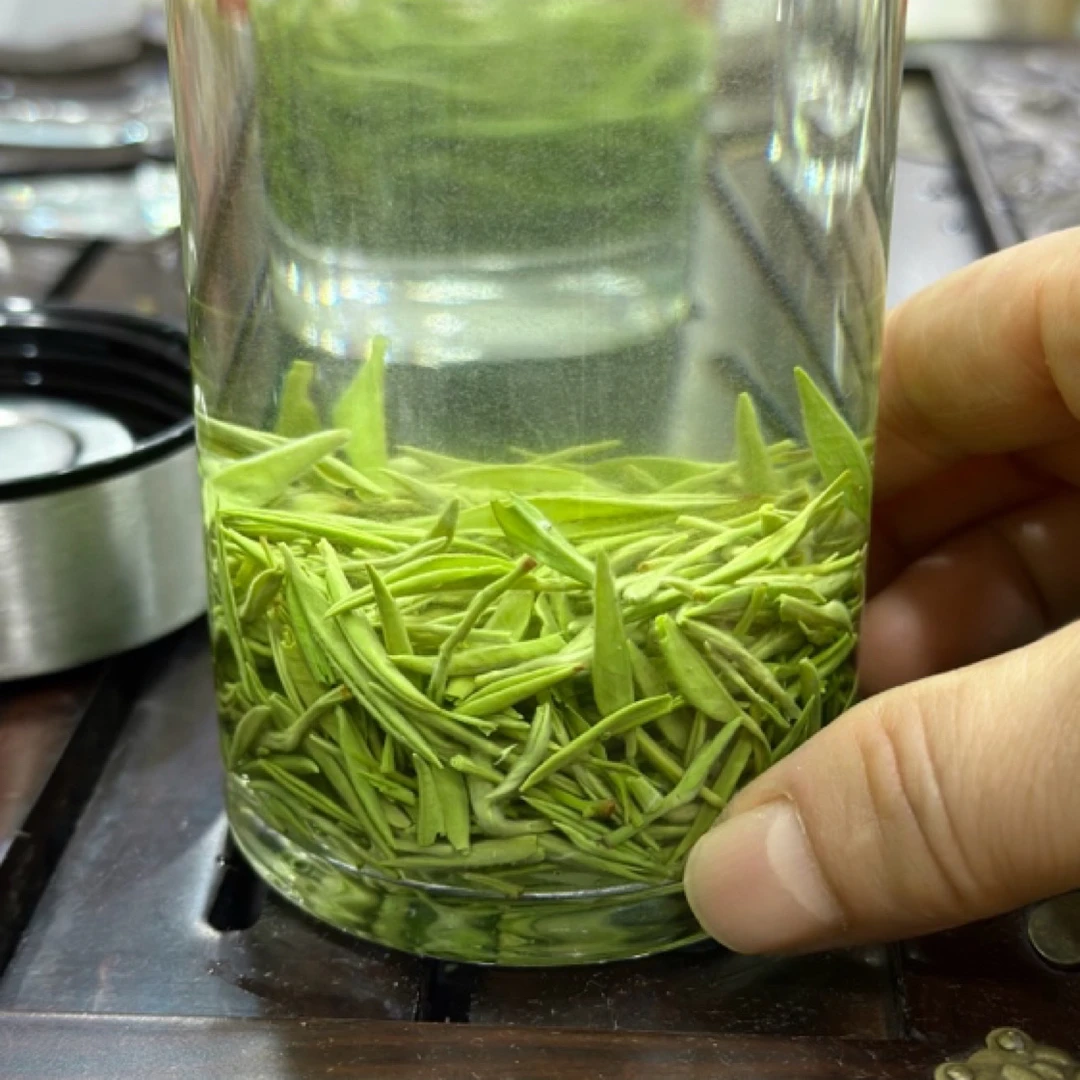 汇丰茶行《2025新春茶》清明前毛尖王嫩芽尖尖清香甘甜
