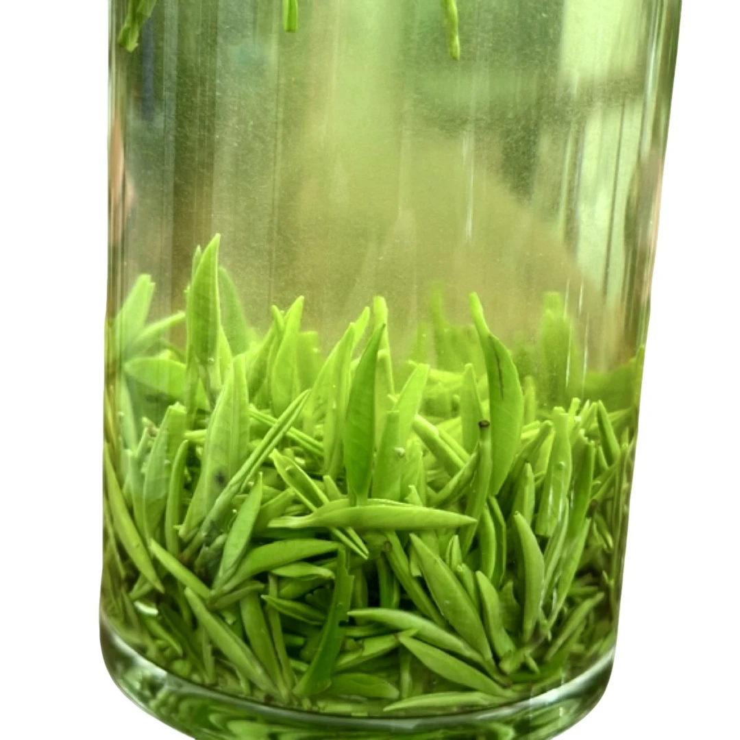 汇丰茶行《2025年新春茶》明前恩施玉露贡芽汤清叶绿鲜爽甘甜散茶
