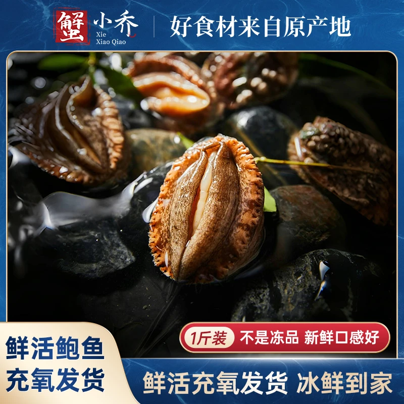 【鲜活鲍鱼】1斤鲜活发货冰鲜到家佛跳墙活鲜海鲜水产生鲜顺丰