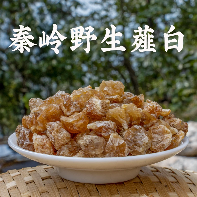 77.薤白秦岭原产薤白小蒜