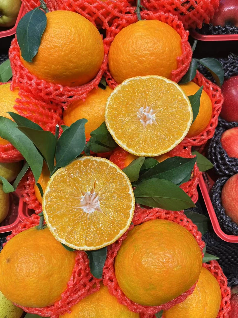 【同城送货】爱媛果冻橙一斤