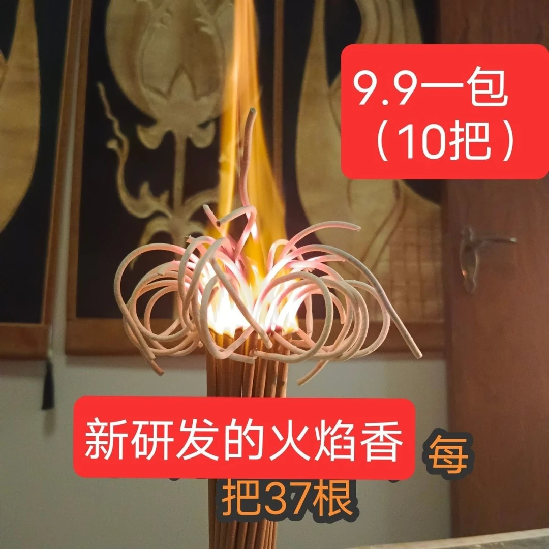 新品天然旺火大莲花香家用室内室外高30厘米发10把