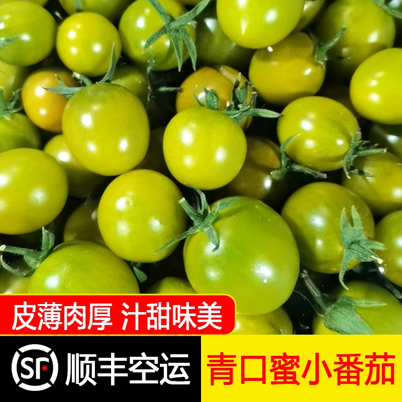 【顺丰空运】正宗新鲜青口蜜圣女果小番茄2斤当季现摘孕妇水果