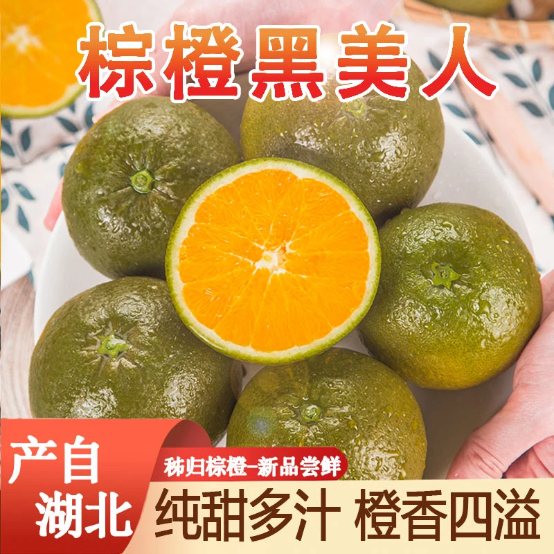 正宗黑美人棕橙巧克力澳橙朱古力脐橙子多汁当季新鲜3/5/9斤YX