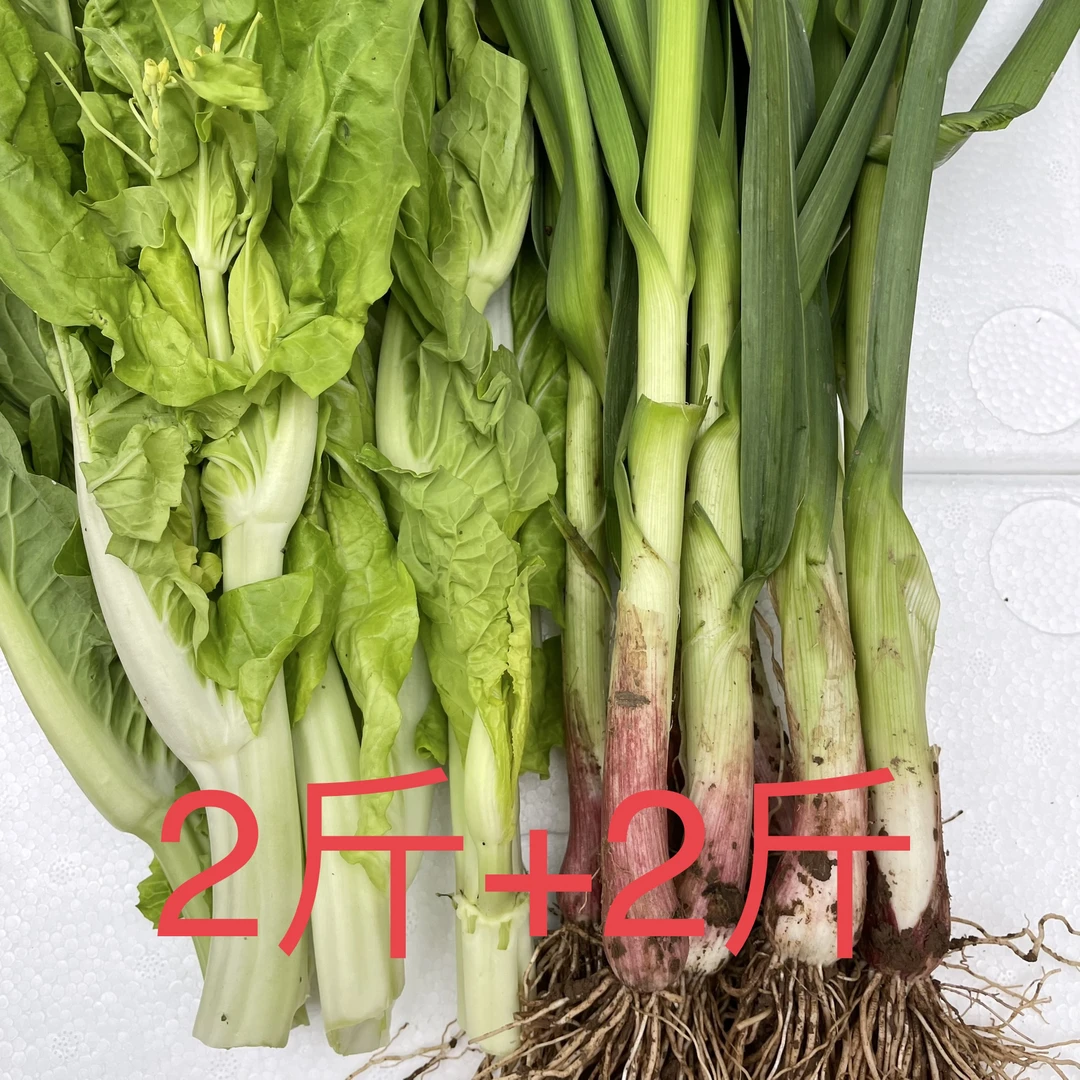 白菜苔新鲜蒜苗新鲜露天时令蔬菜香甜爽口绿色健康生长4斤包邮