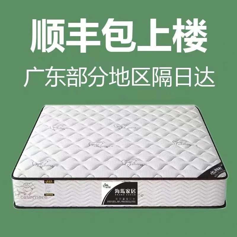 薄款席梦思软床垫20厚家用弹簧乳胶椰棕租房两用双面加厚环保酒店