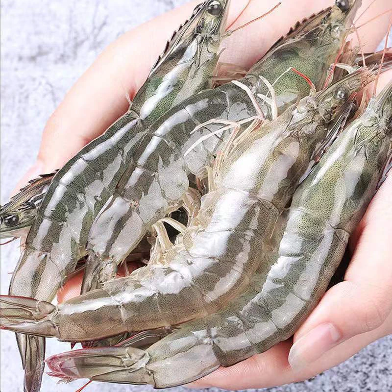 海洋大虾一盒2030规格新鲜连云港发货烧烤油焖冷链配送锁鲜