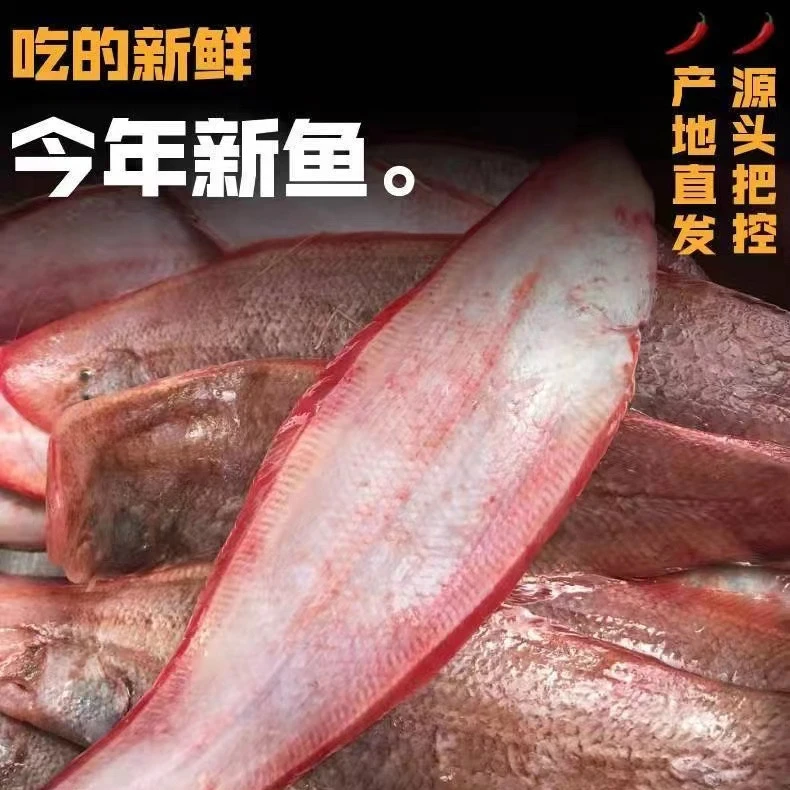 生鲜龙利鱼4斤（8-10条）冷冻海鲜水产整条舌头鱼踏板鱼