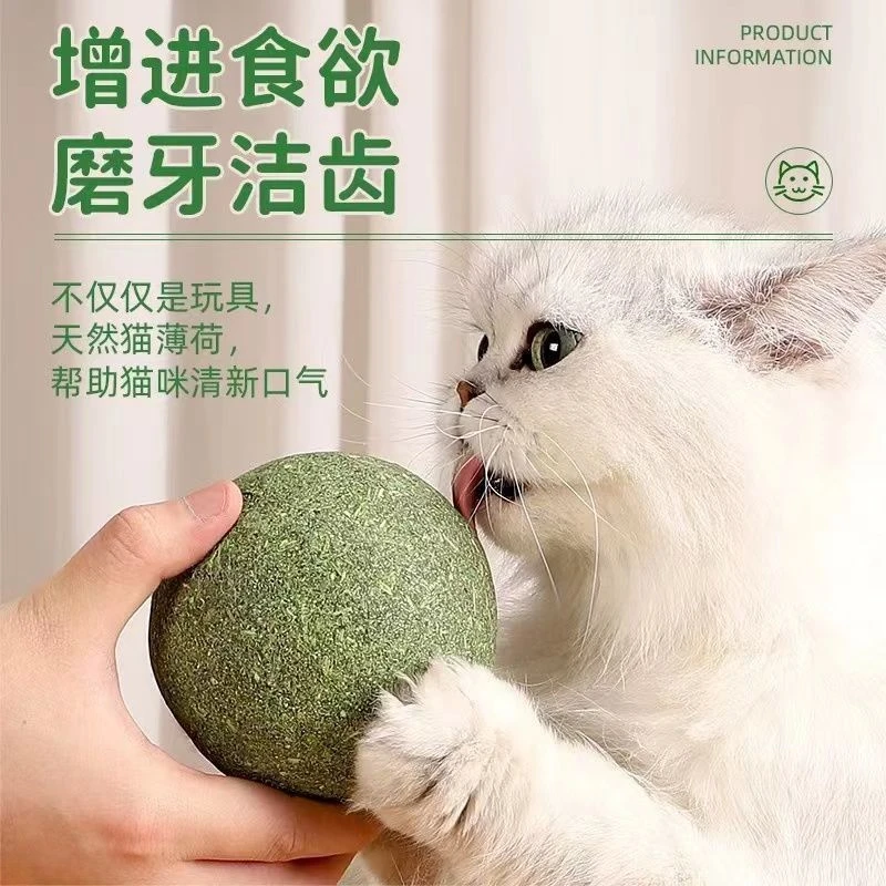猫咪超大薄荷球玩具虫瘿果球猫咪洁齿耐咬薄荷球可食用猫猫自嗨球